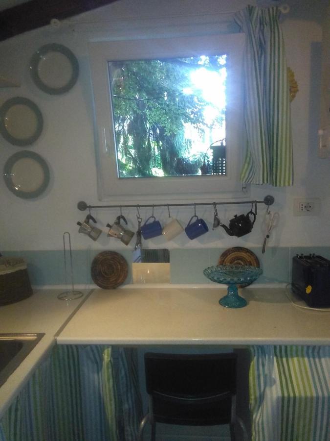 Cottage Sotto Il Faggio Centenario Ameno Extérieur photo