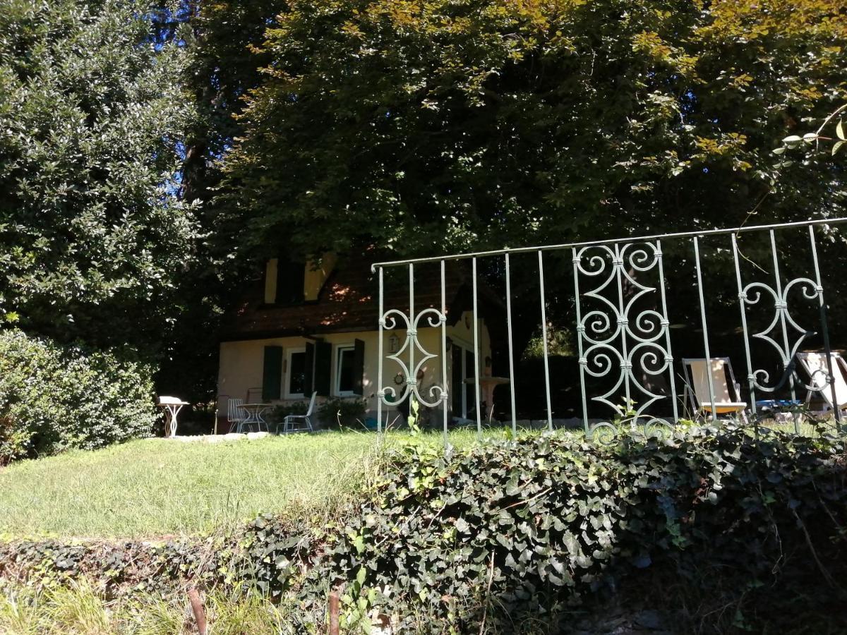 Cottage Sotto Il Faggio Centenario Ameno Extérieur photo