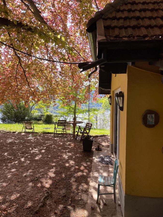 Cottage Sotto Il Faggio Centenario Ameno Extérieur photo