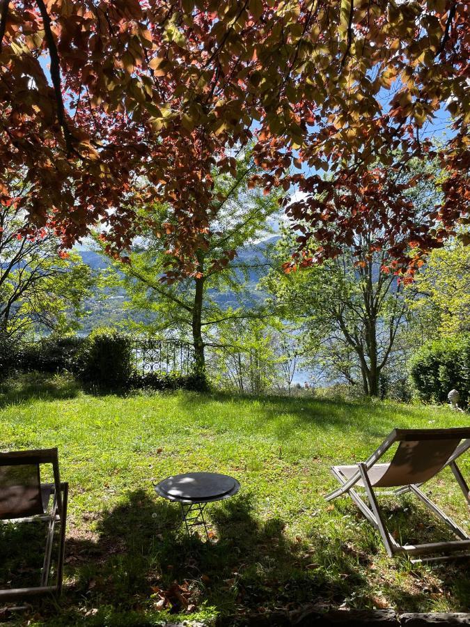 Cottage Sotto Il Faggio Centenario Ameno Extérieur photo