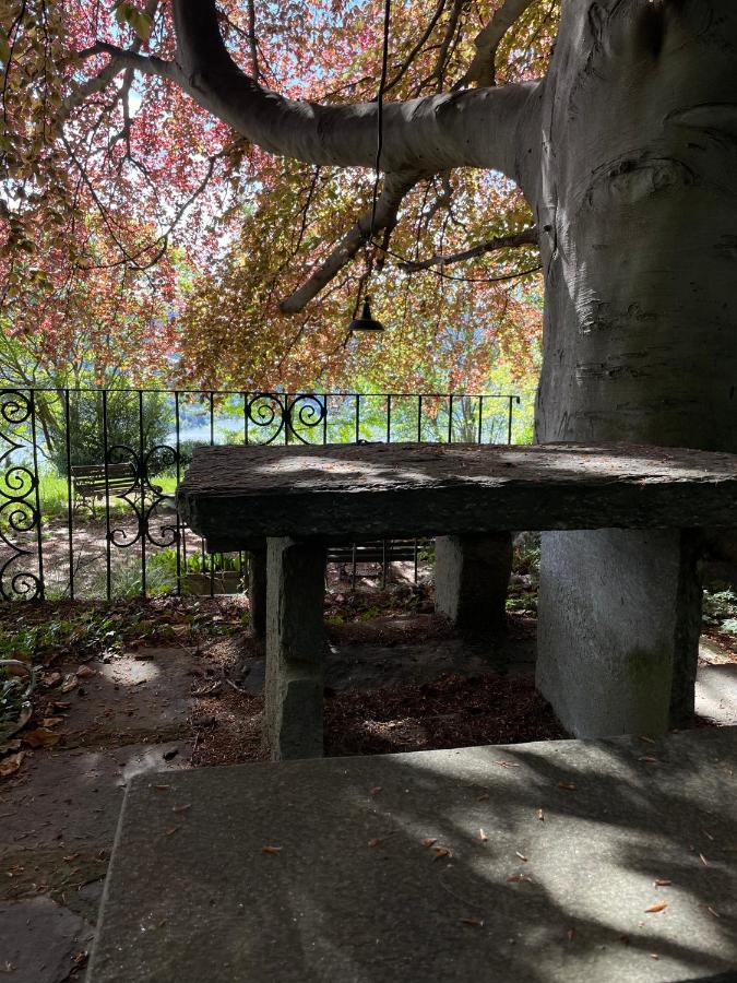 Cottage Sotto Il Faggio Centenario Ameno Extérieur photo